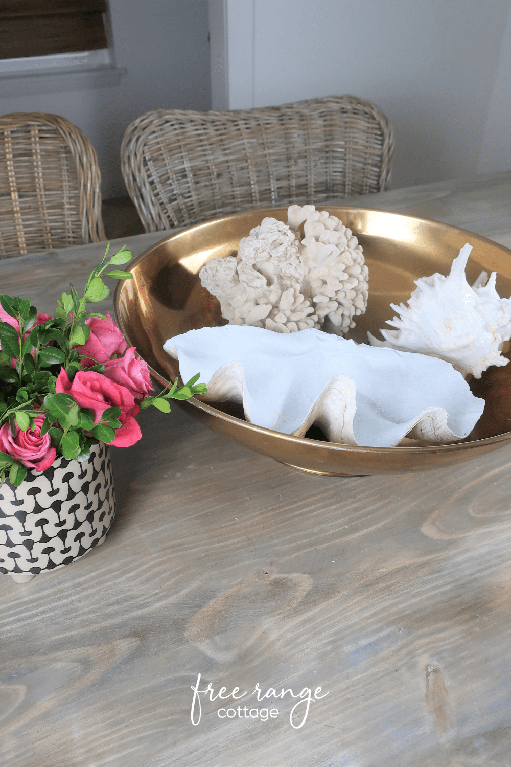 Large seashells in brass bowl