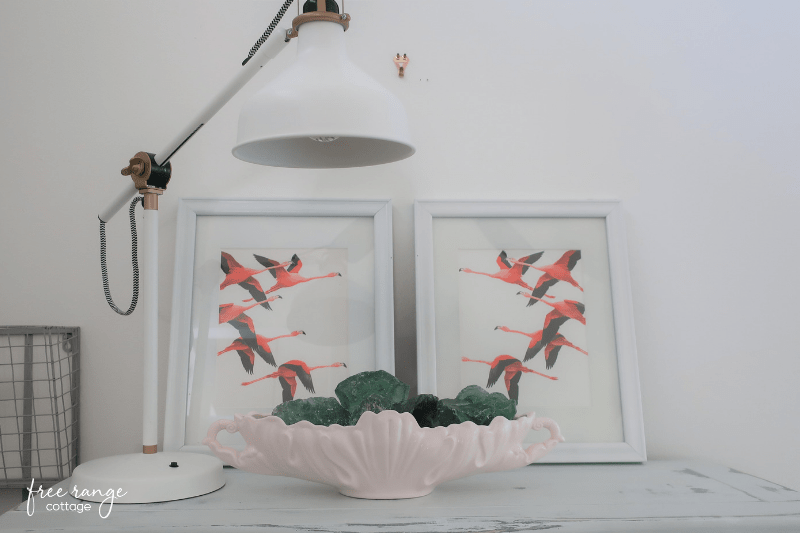 Vintage book prints of flamingos in white frame