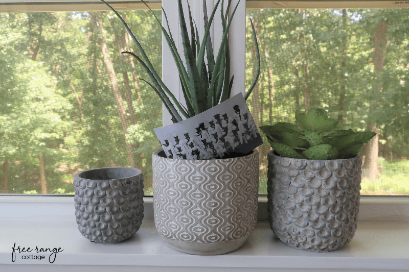 3 concrete planters with succulents