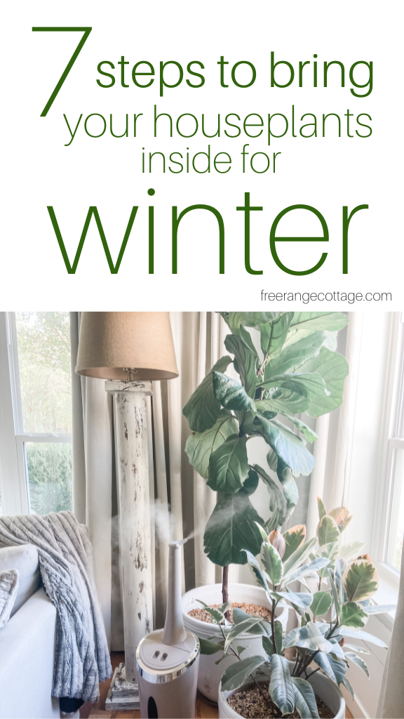 houseplants with title 7 steps to bring plants indoors for winter