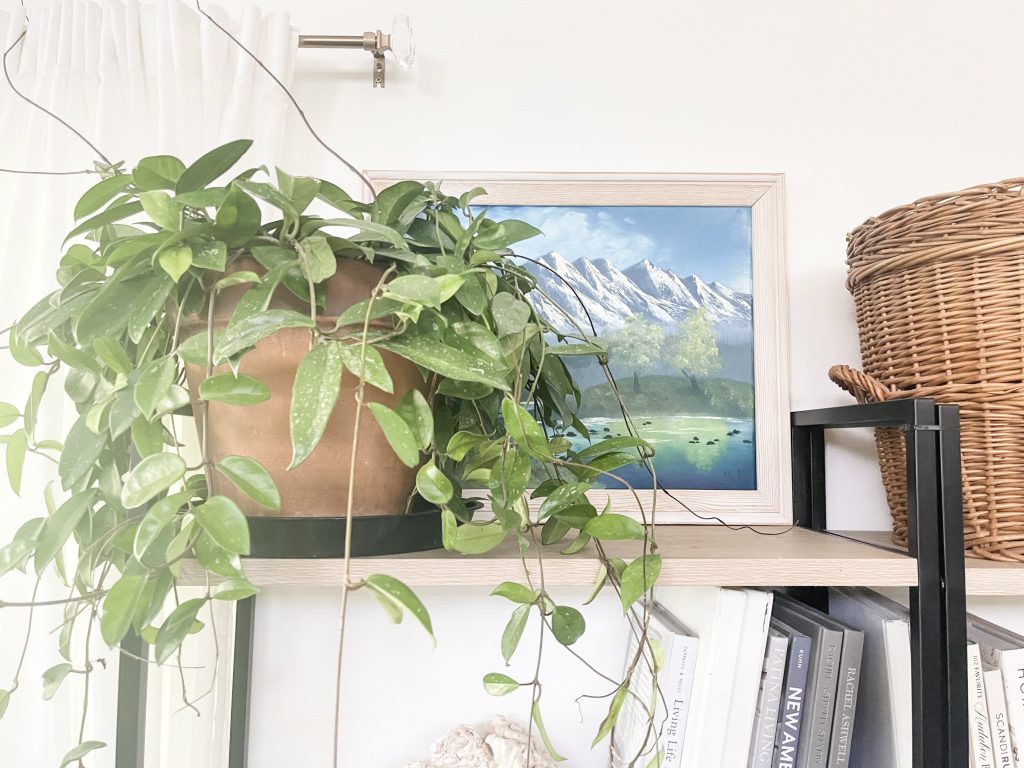 houseplant on shelf with oil painting