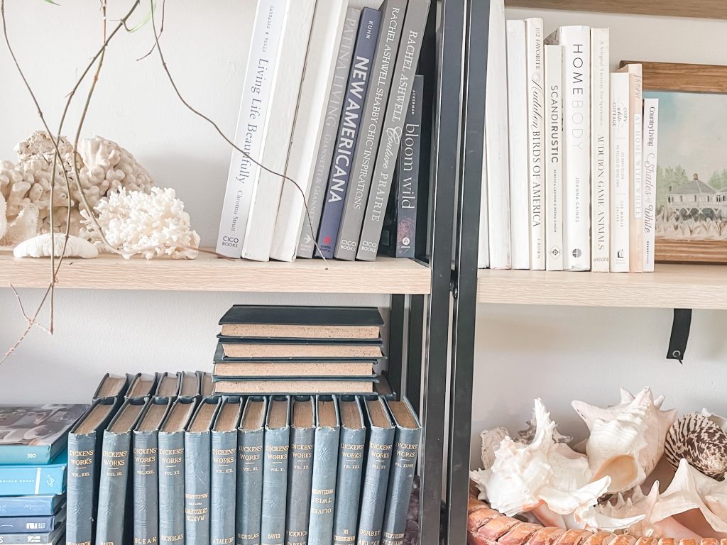 Bookshelf with white and blue books and large sea shells